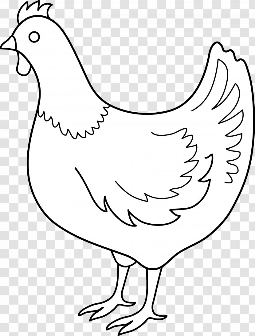 Chicken Drawing Clip Art - Chick Transparent PNG