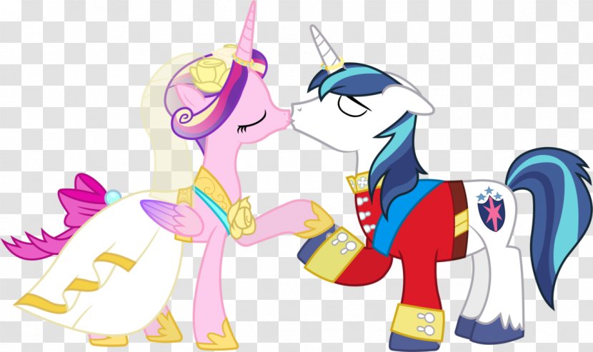 Princess Cadance Shining Armor Twilight Sparkle Pony Sunset Shimmer - Cartoon - Lost Missing Pieces Transparent PNG