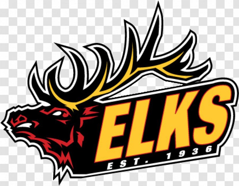 Elk River High School Sport Benevolent And Protective Order Of Elks Hockey American Football - Cartoon Transparent PNG
