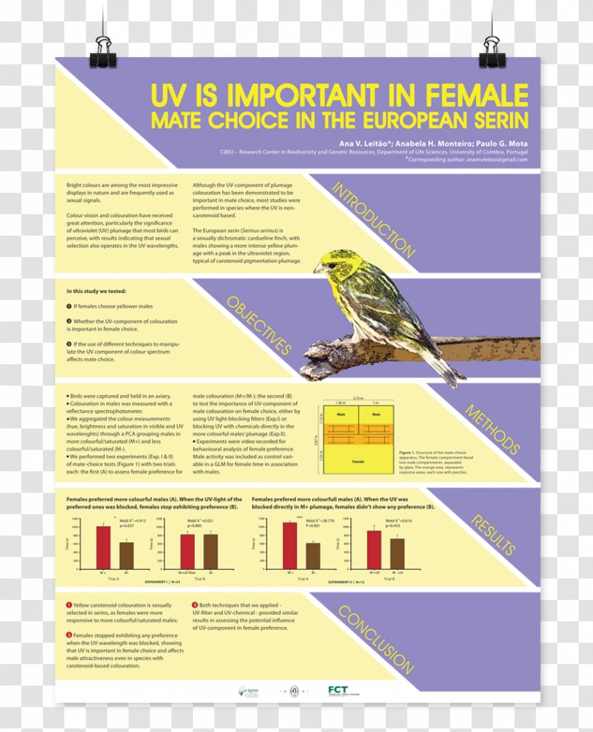 Poster Session Science Research - Area - Design Transparent PNG