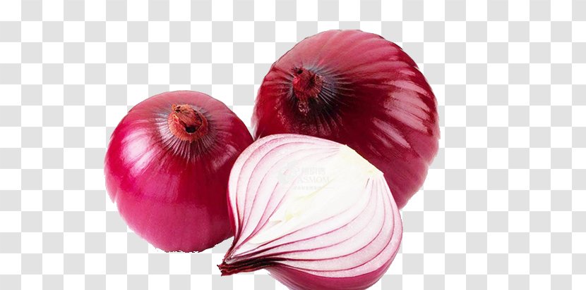 Red Onion Garlic Mandi White - Purple Transparent PNG