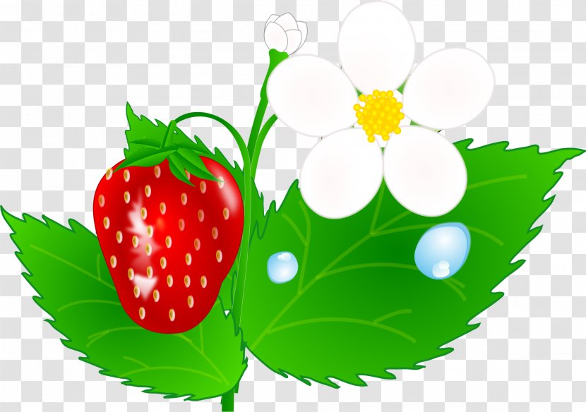 Strawberry Shortcake Fruit Clip Art - Food Transparent PNG