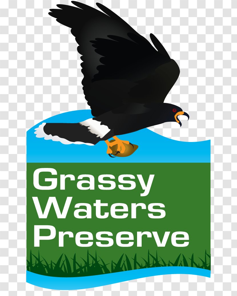 Hog Hammock Trail Everglades Nature Reserve Park Clip Art - Preserve Transparent PNG