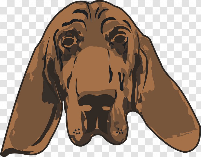 Bloodhound Harrier Puppy Illustration - Dog Breed - Avatar Transparent PNG