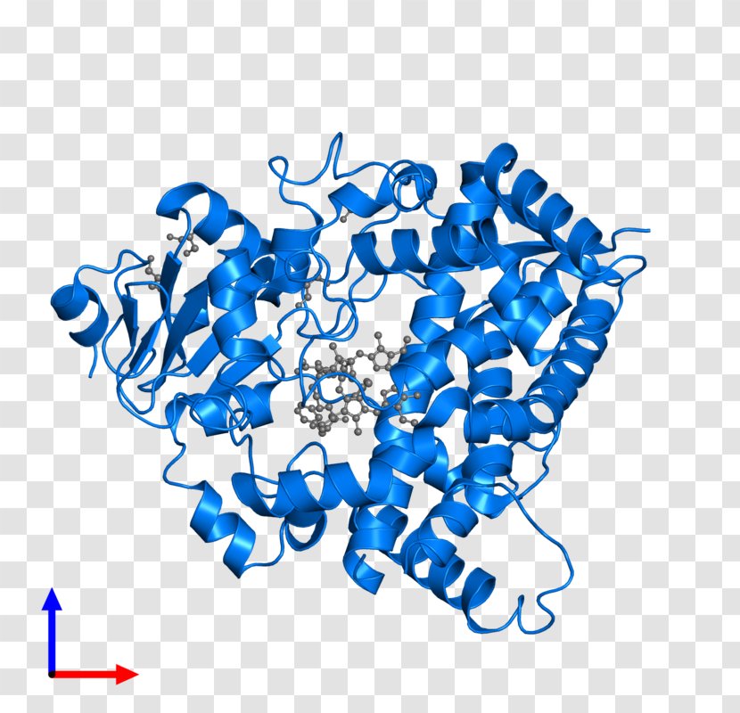 Human Behavior Line Organism Point - Electric Blue Transparent PNG