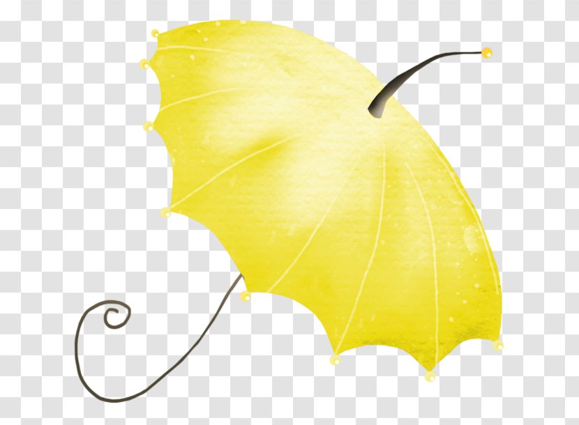 Umbrella Icon - Vecteur Transparent PNG