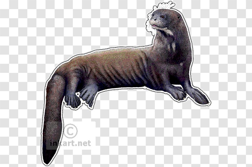 Sea Otter Weasels Giant Drawing - Southern River Transparent PNG
