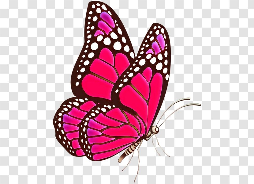 Monarch Butterfly - Magenta Brushfooted Transparent PNG
