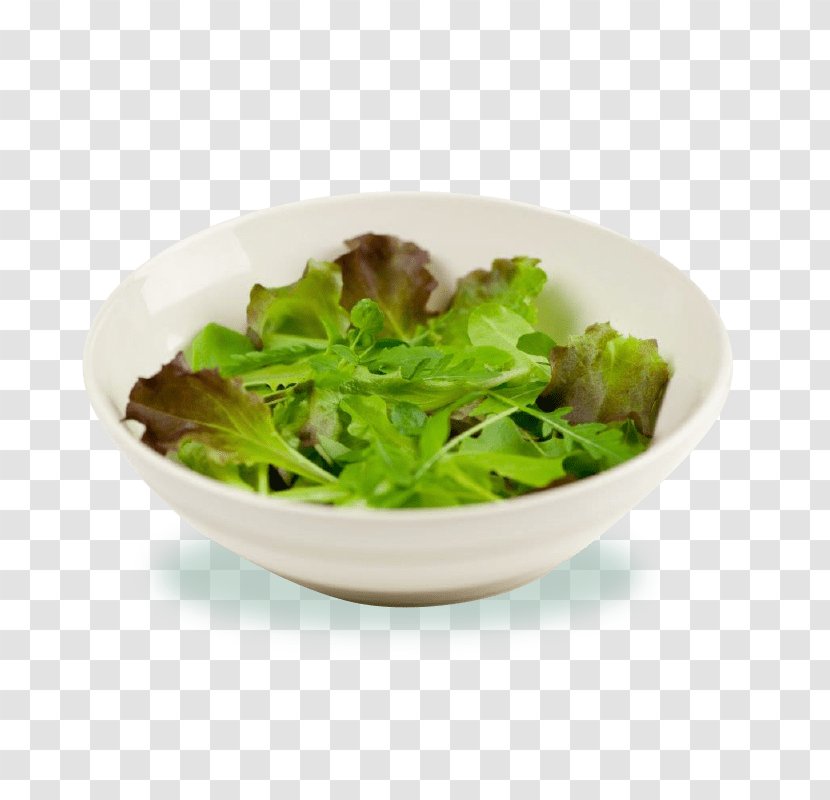 Onion Cartoon - Red Leaf Lettuce - Caesar Salad Iceburg Transparent PNG