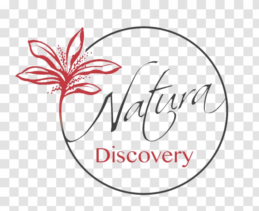 Natura Discovery Bora Logo Island Lagoon Jeep - Flower Transparent PNG