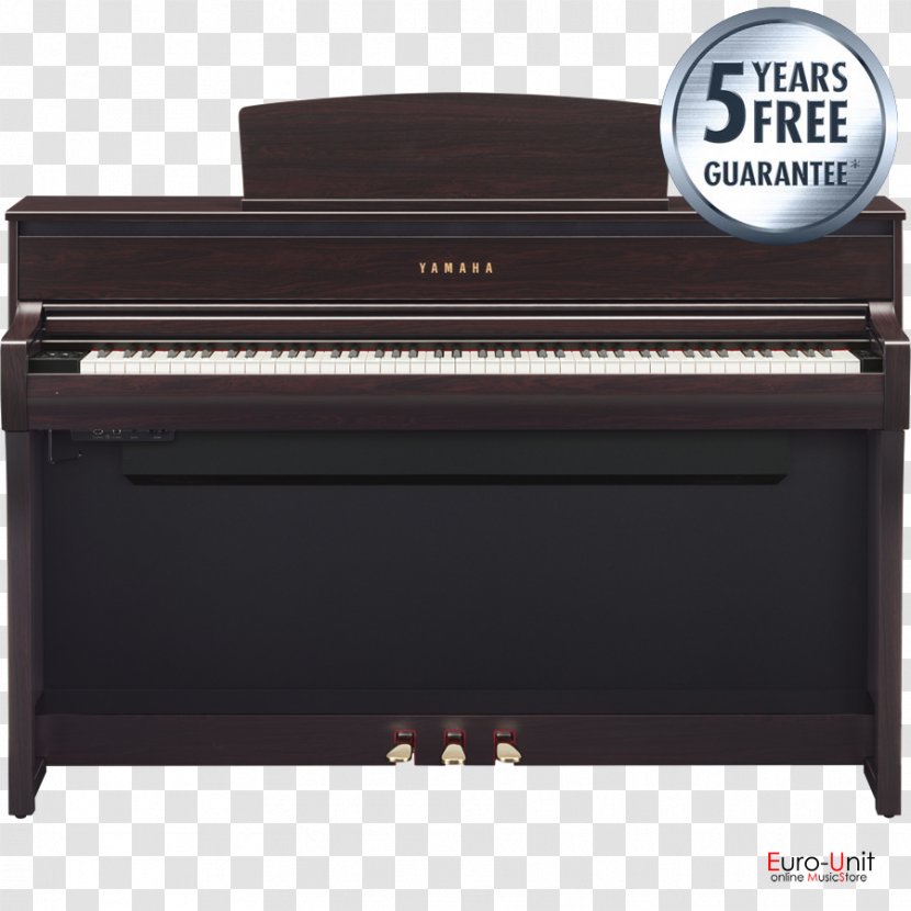 Clavinova Yamaha P-115 Digital Piano Corporation - Frame Transparent PNG