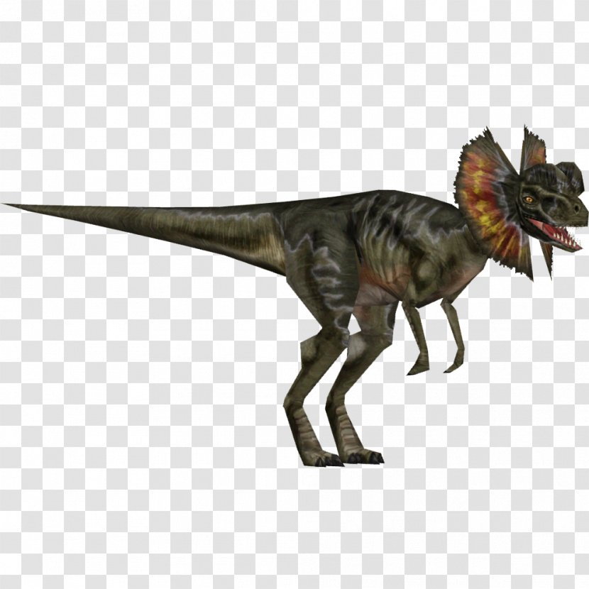 Velociraptor Dilophosaurus Allosaurus Dinosaur Tyrannosaurus - Jurassic Park Transparent PNG
