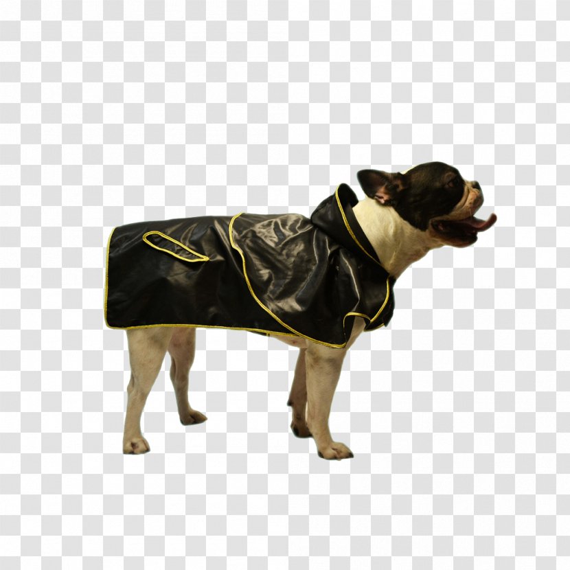 Raincoat Dog Breed T-shirt Hoodie Clothing - A With Gold Ingot Transparent PNG