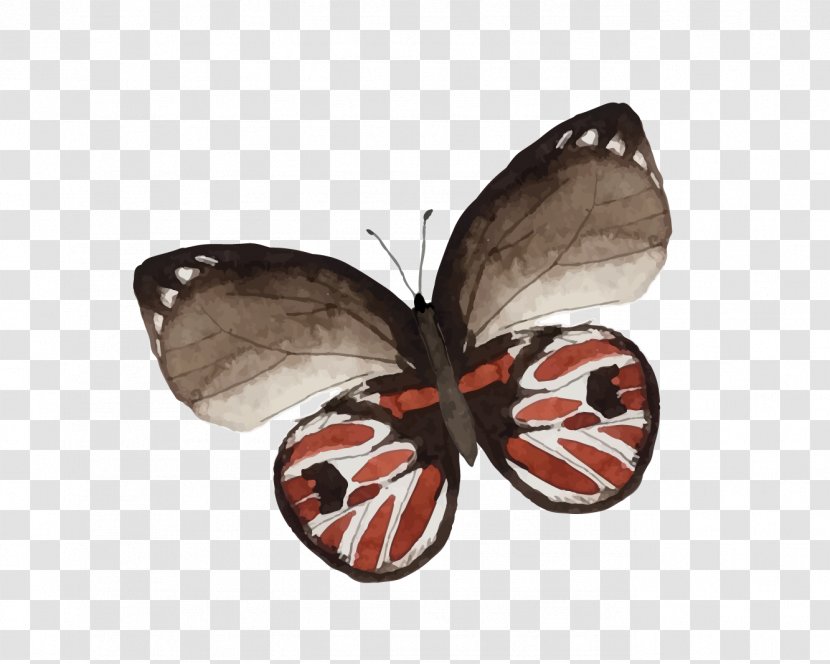 Butterfly Painting Drawing - Art Transparent PNG