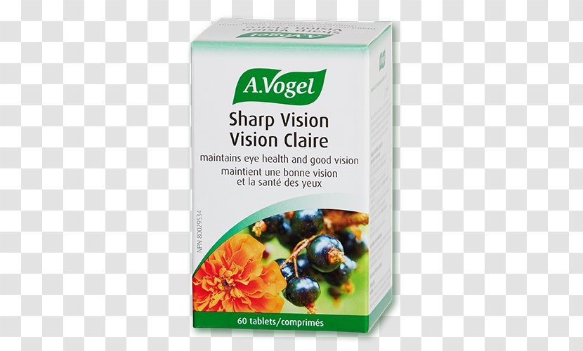 Dietary Supplement Vitamin Natural Foods Herb - Fruit - Artichoke Watercolor Transparent PNG