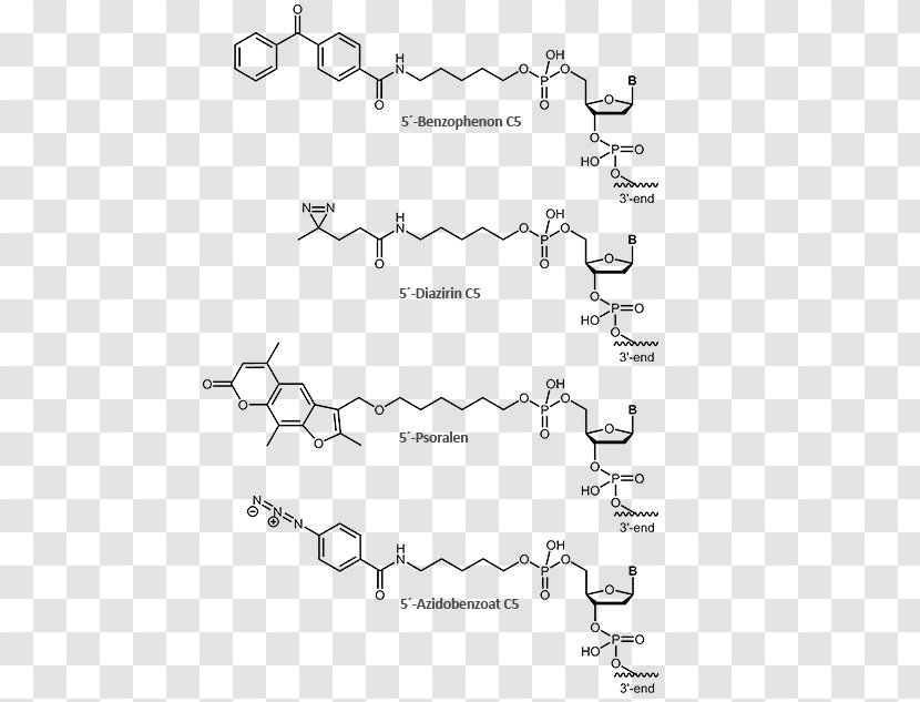 Methylene Blue Anthraquinone Molecule Oligonucleotide Covalent Bond - Heart - Chen Dai Transparent PNG