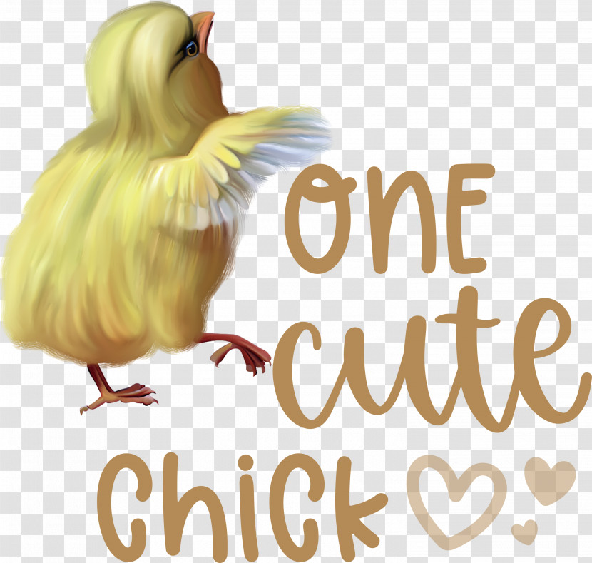 One Cute Chick Easter Day Happy Easter Transparent PNG