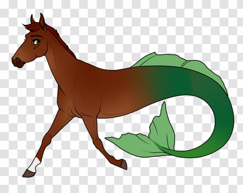 Foal Wikia Mustang Stallion - Horse Transparent PNG