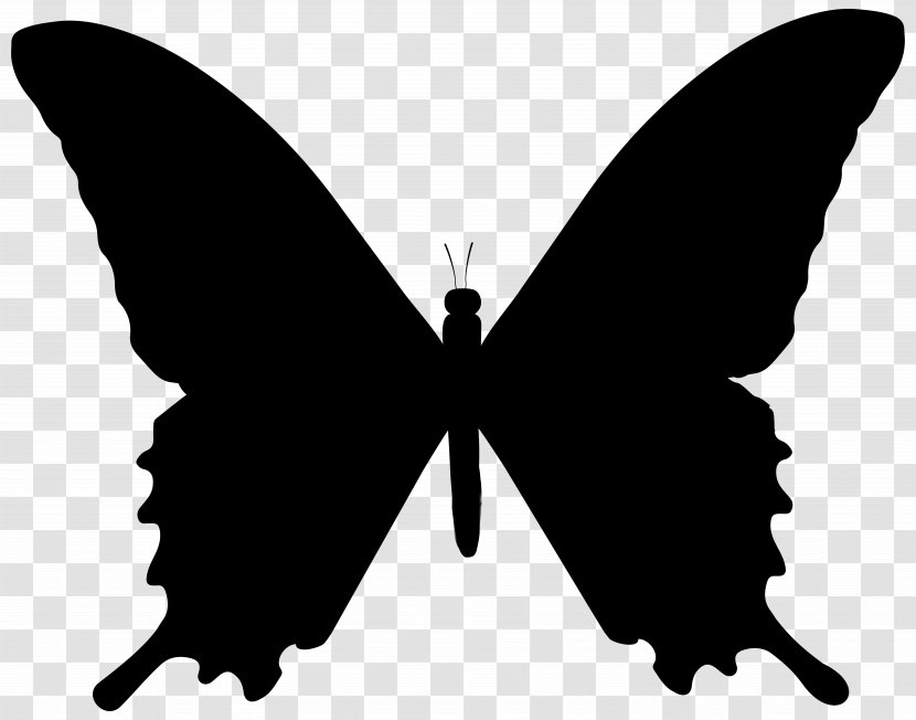 Butterfly Clip Art Vector Graphics Image - Invertebrate - Papilio Machaon Transparent PNG