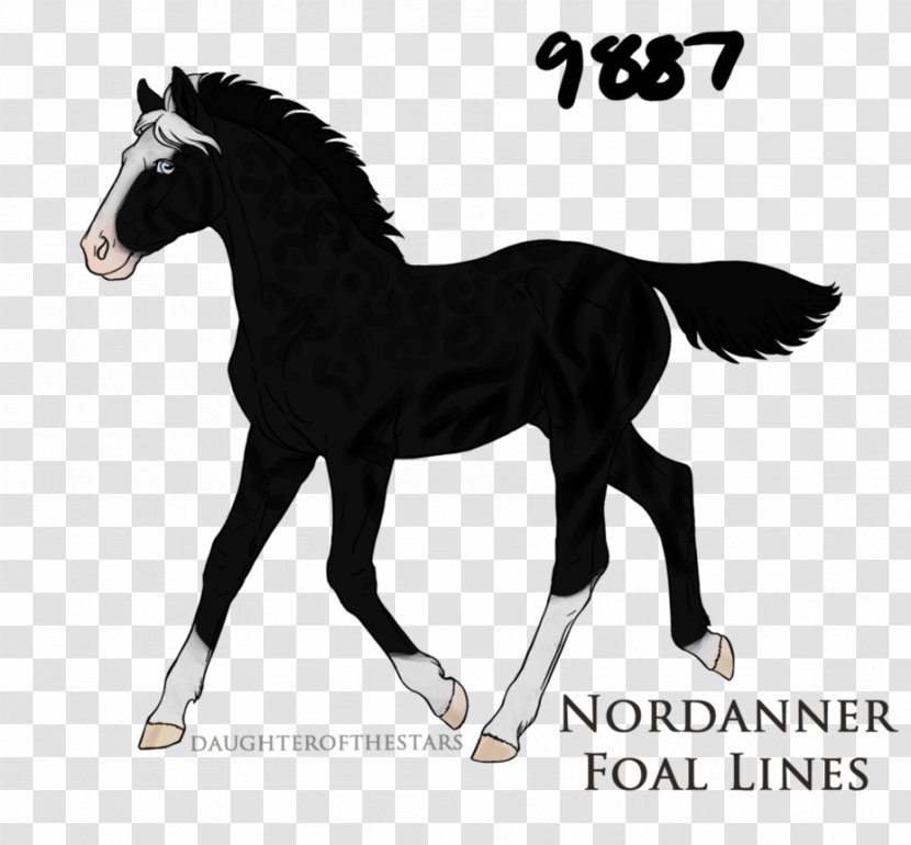 Pony Foal Stallion Mustang Puppy - Deviantart Transparent PNG