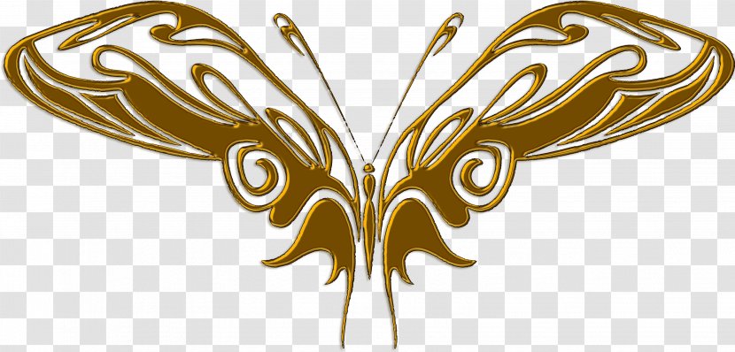 Butterfly Clip Art - Moths And Butterflies - Fantastic Vector Transparent PNG