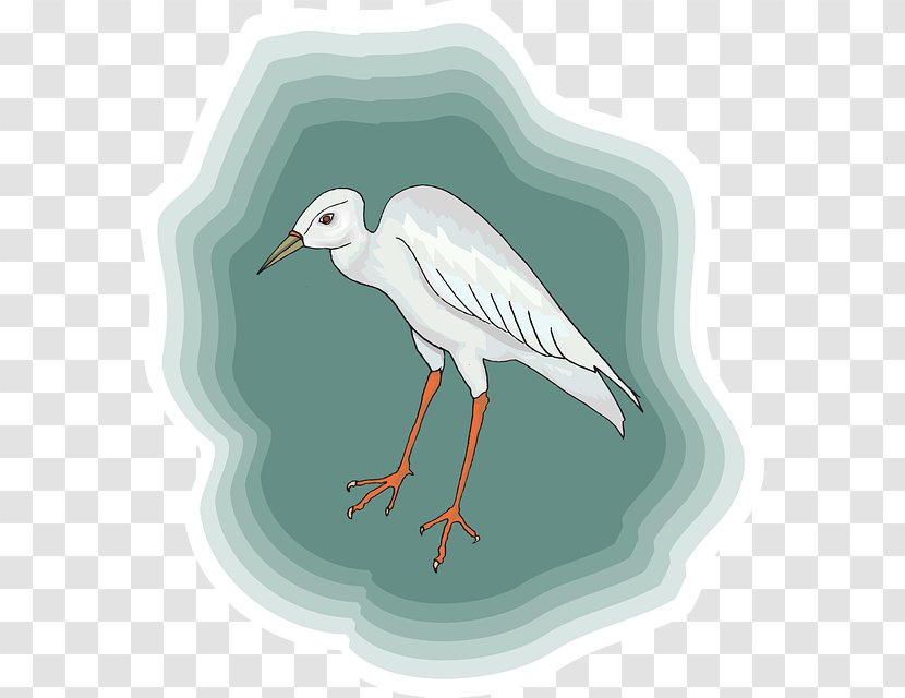 Heron Bird White Stork Crane - Neck - Long Legged Transparent PNG