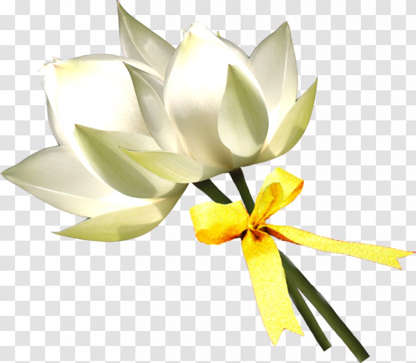 Floral Design Lilium White - Nosegay - Lotus Transparent PNG