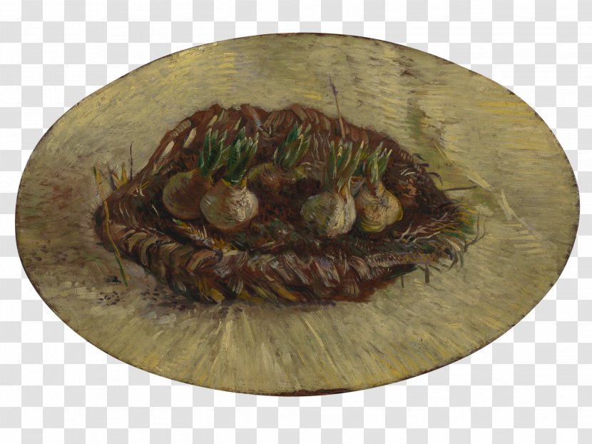 Van Gogh Museum Basket Of Hyacinth Bulbs National Gallery Victoria The Painter Sunflowers - Exhibition Transparent PNG
