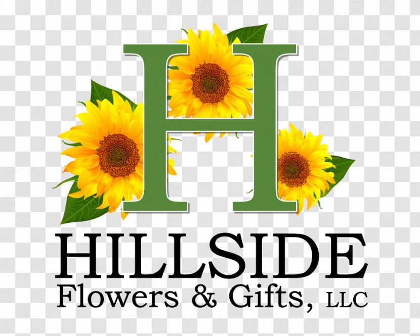 Hillside Flowers & Gifts Cut Floristry Common Sunflower - Maine - Flower Transparent PNG