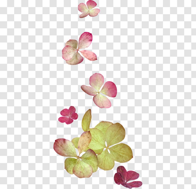 Flower Image Clip Art Painting - Plant Stem Transparent PNG
