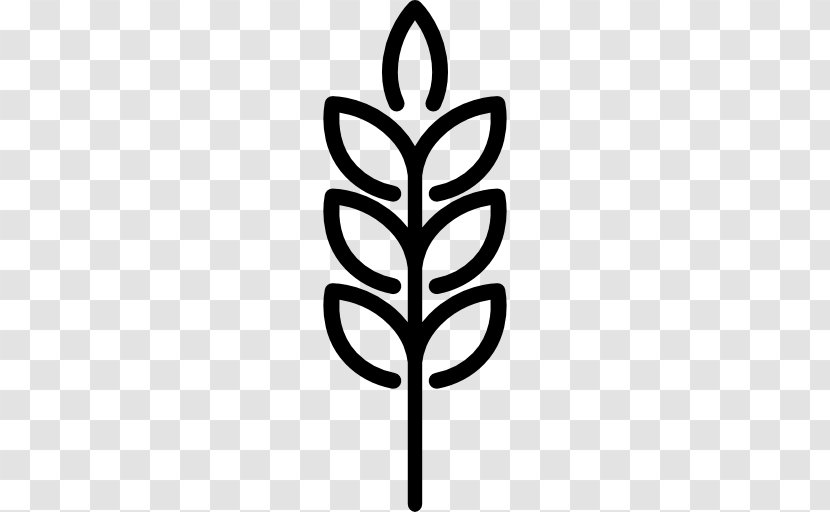 Wheat Ear Flour - Tree - Black Beans Transparent PNG