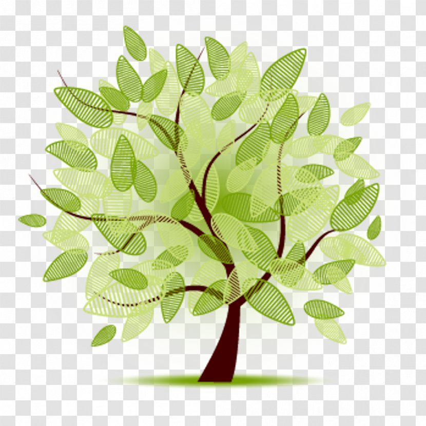 Millennium Cohort Study Organization Military Community - Plant - Tree Transparent PNG