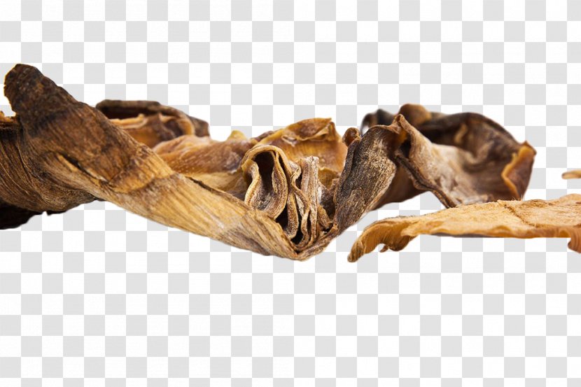 Bamboo Shoot Food Drying - Dog - Dried Shoots Transparent PNG