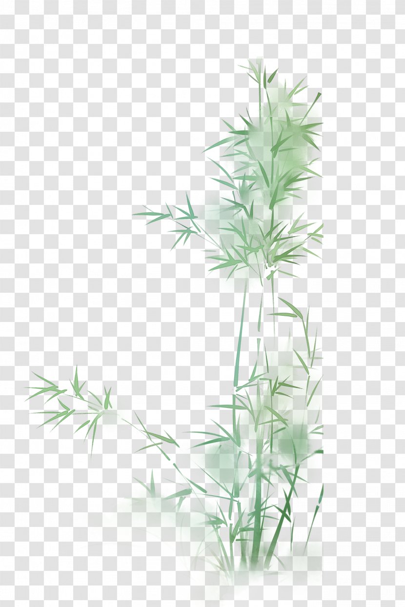 Green Bamboo - Plant Stem Transparent PNG