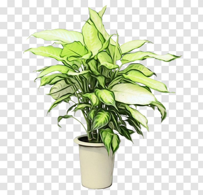 Flowerpot Flower Plant Houseplant Leaf - Herb Stem Transparent PNG