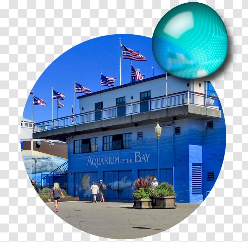 Bay Ecotarium San Francisco Leisure - Sky - Please Protect Public Facilities Transparent PNG