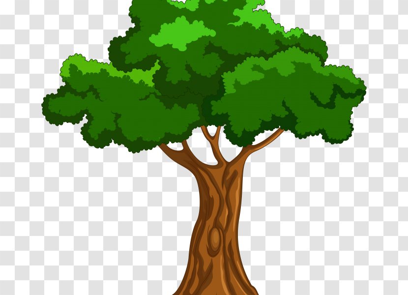 Tree Clip Art - Woody Plant - Cartoon Europe Transparent PNG