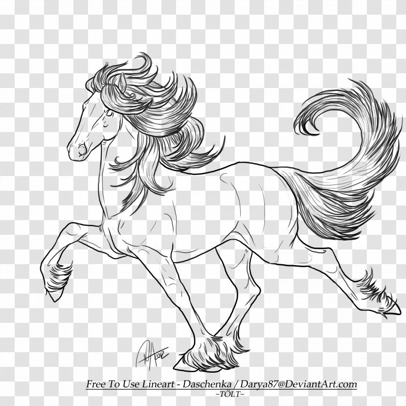 Icelandic Horse Fjord Clydesdale Line Art Drawing - Neck - Gallop Transparent PNG