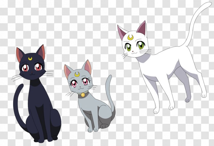 Luna, Artemis, And Diana Sailor Moon Cat - Fictional Character - Whiskers Transparent PNG
