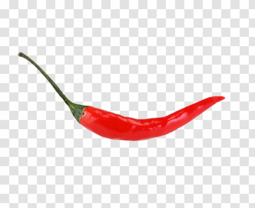 Chili Pepper Cayenne Tabasco Spice - Millet Red Transparent PNG