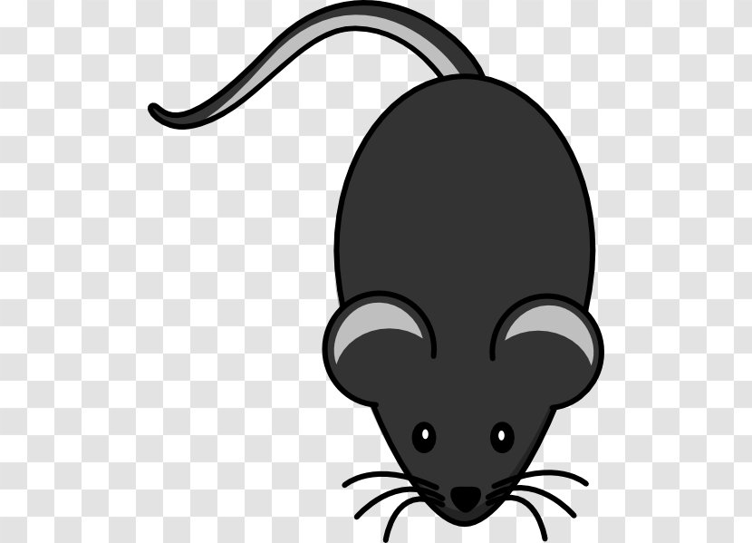 Mouse Rat Clip Art - Animation - Dark Grey Transparent PNG