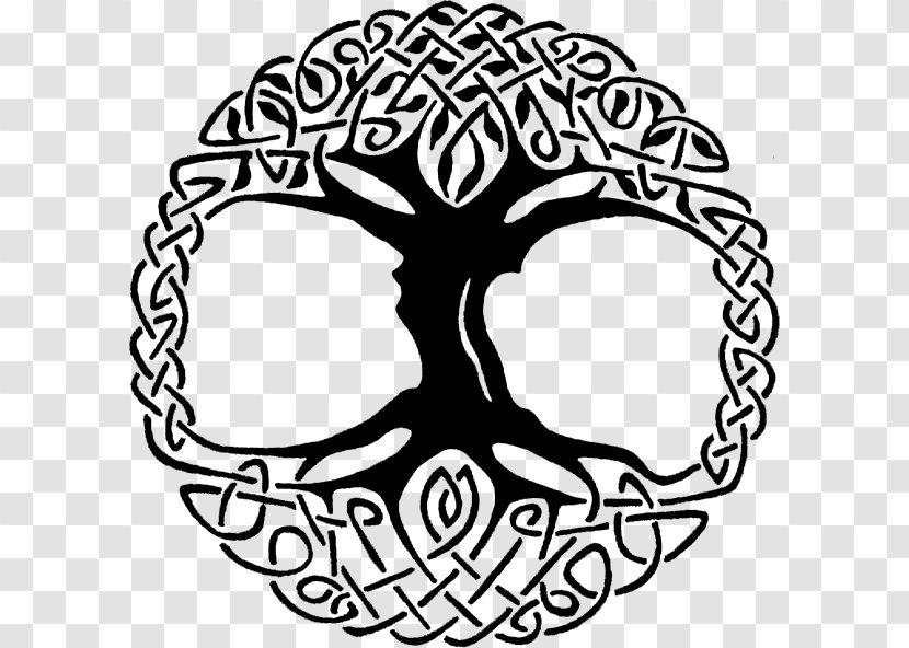 Tree Of Life Vector Graphics Clip Art Illustration Cdr - Celtic Celta Transparent PNG