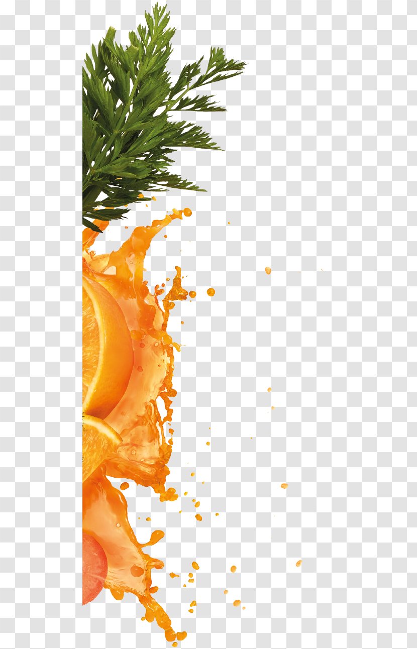 Orange Juice Carrot - Flower Transparent PNG