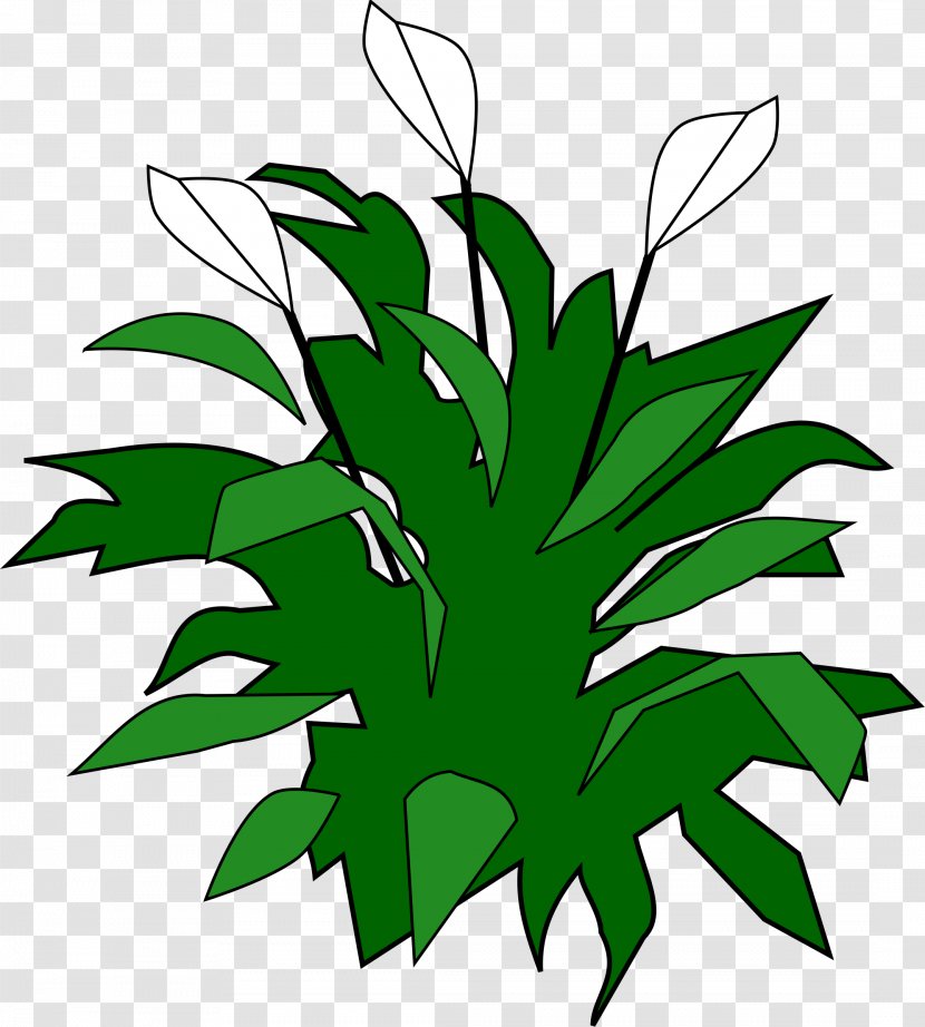 Color Green Clip Art - Tree Transparent PNG