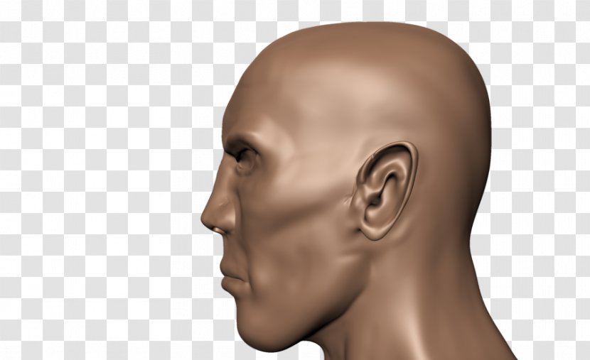 Human Head Face Body Skull - Side View Transparent PNG