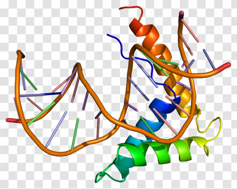 HMGB2 High-mobility Group Gene DNA Protein - Tree - Silhouette Transparent PNG