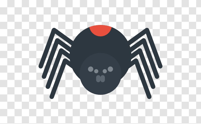 Download - Animal - Spider Transparent PNG