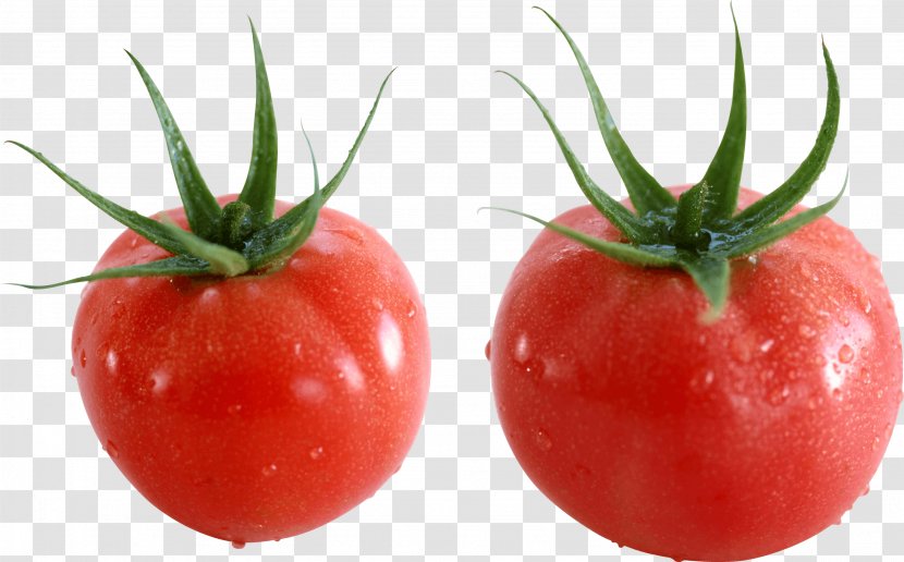 Plum Tomato Cherry Bush - Vegetable - Image Transparent PNG