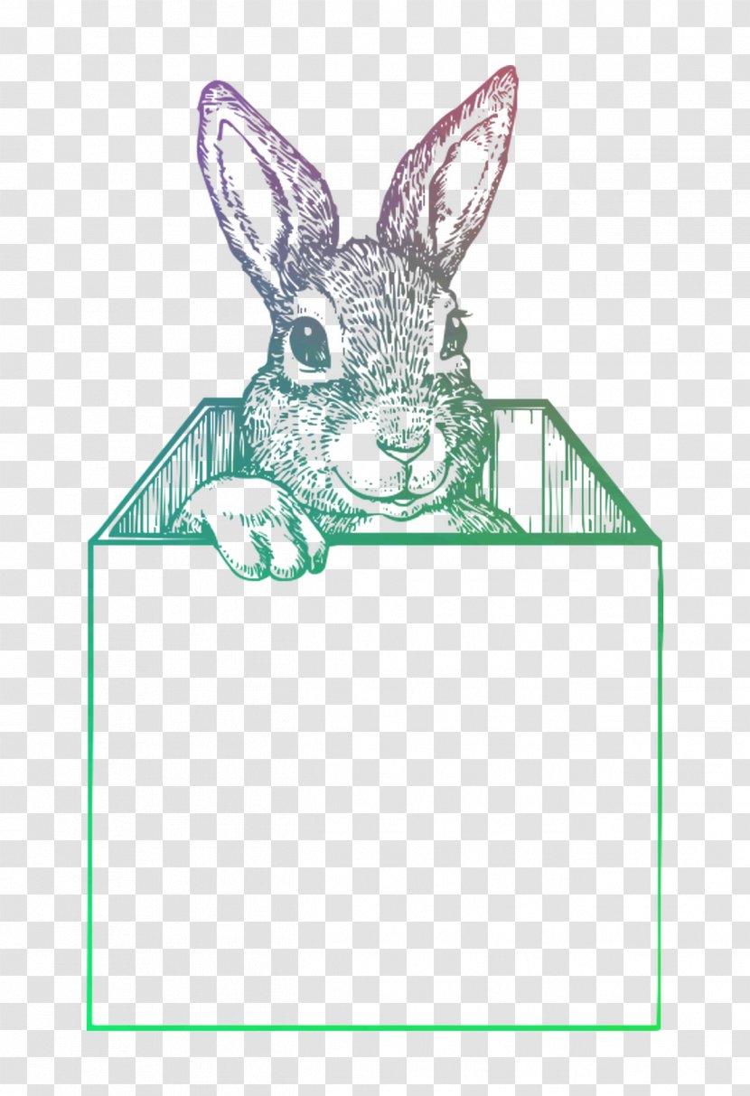 Domestic Rabbit Hare Easter Bunny Illustration - Snout Transparent PNG