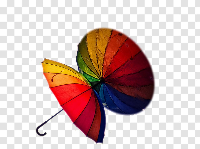 Umbrella Painting Auringonvarjo Rain - Pollinator - And Reflection Rainbow When It Rains Transparent PNG